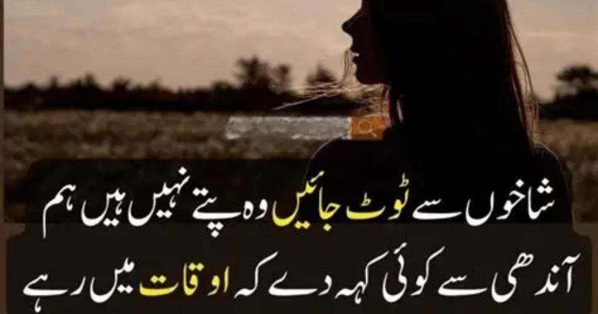 Best Attitude Poetry in Urdu 2 Lines Text – Attitude Shayari (2025)